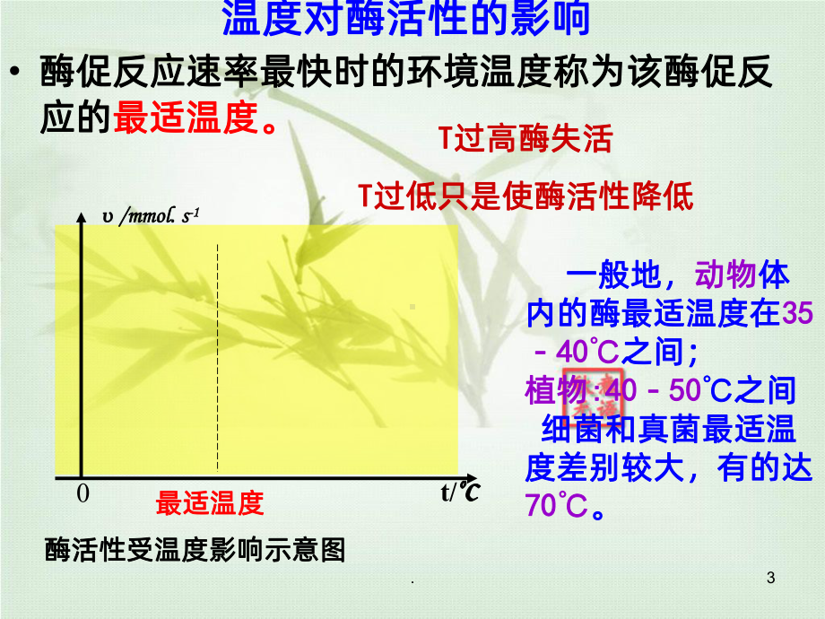 第五章细胞的能量供应和利用课件.ppt_第3页