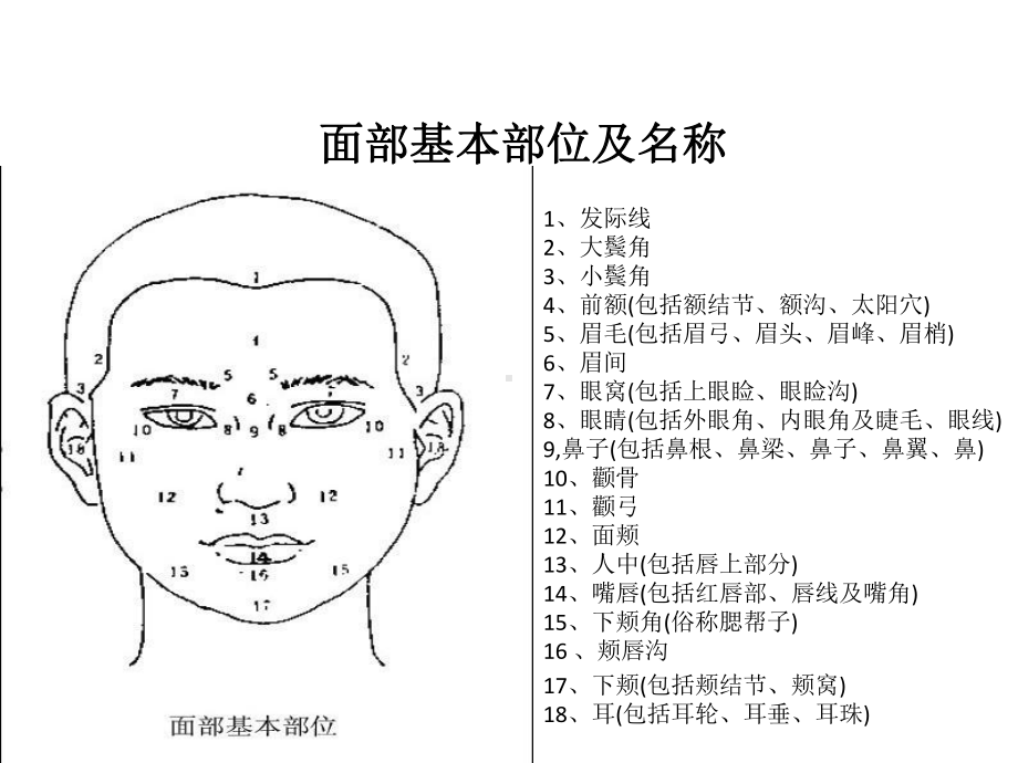 美容面部设计标准课件.ppt_第2页