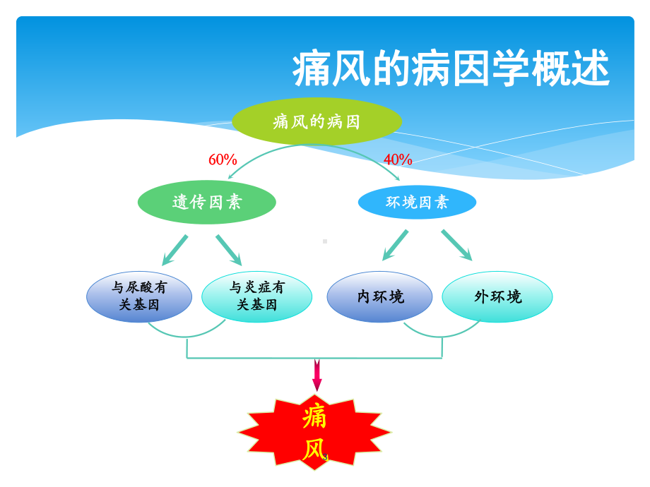 痛风规范诊治课件.ppt_第3页