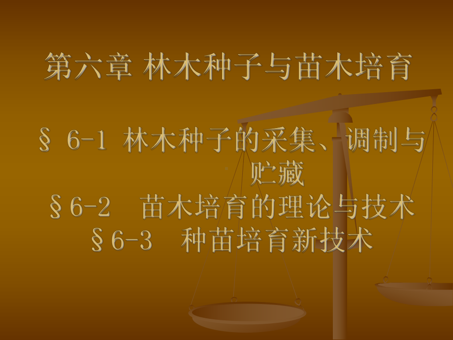 第六章林木种子与苗木培育1课件.ppt_第1页