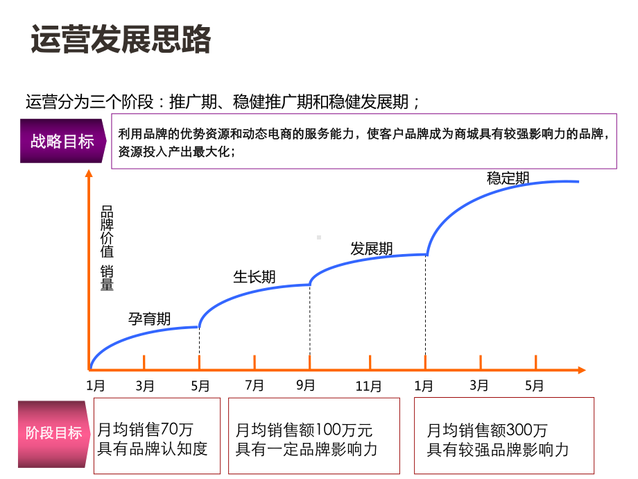 电商运营策划整体推广方案(干货宝典)课件.pptx_第3页