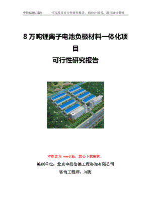 8万吨锂离子电池负极材料一体化项目可行性研究报告写作模板立项备案文件.doc