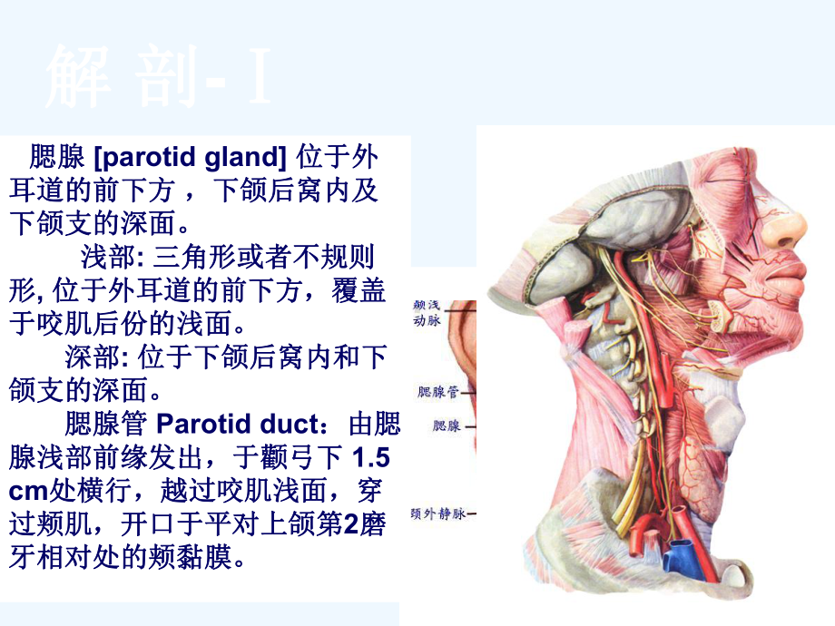 腮腺肿瘤切除术-课件.ppt_第3页