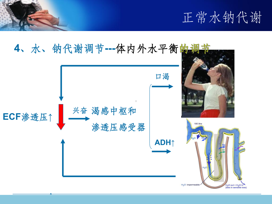 电解质紊乱课件.ppt_第3页