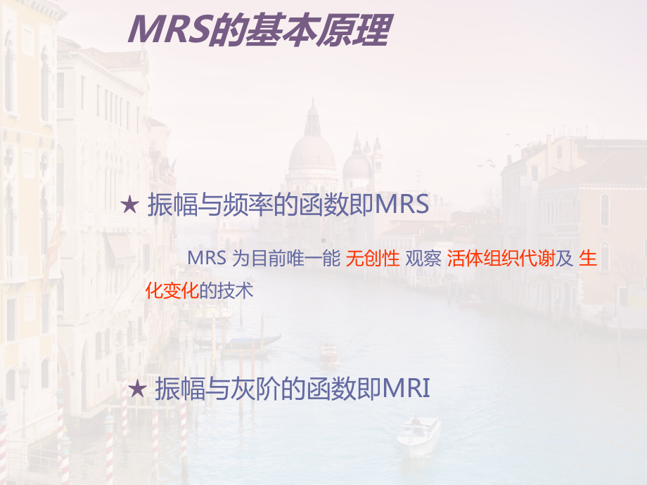 磁共振波谱(MRS)临床应用（影像中心）课件.ppt_第2页