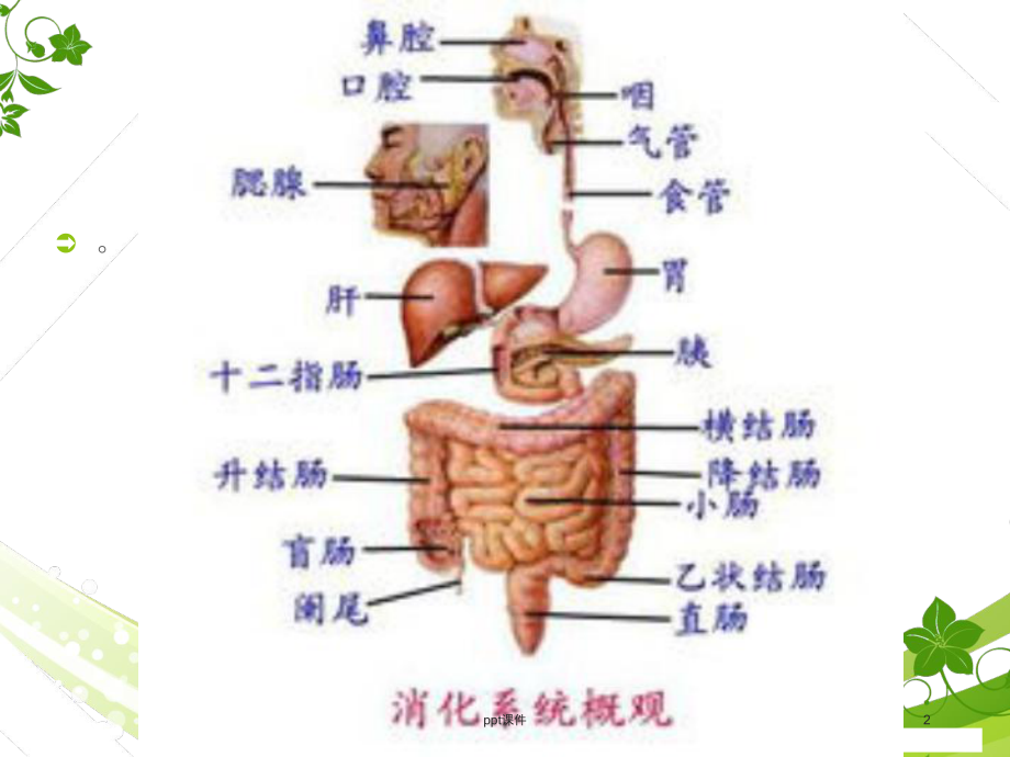 胃肠镜检查前后的护理-课件.ppt_第2页