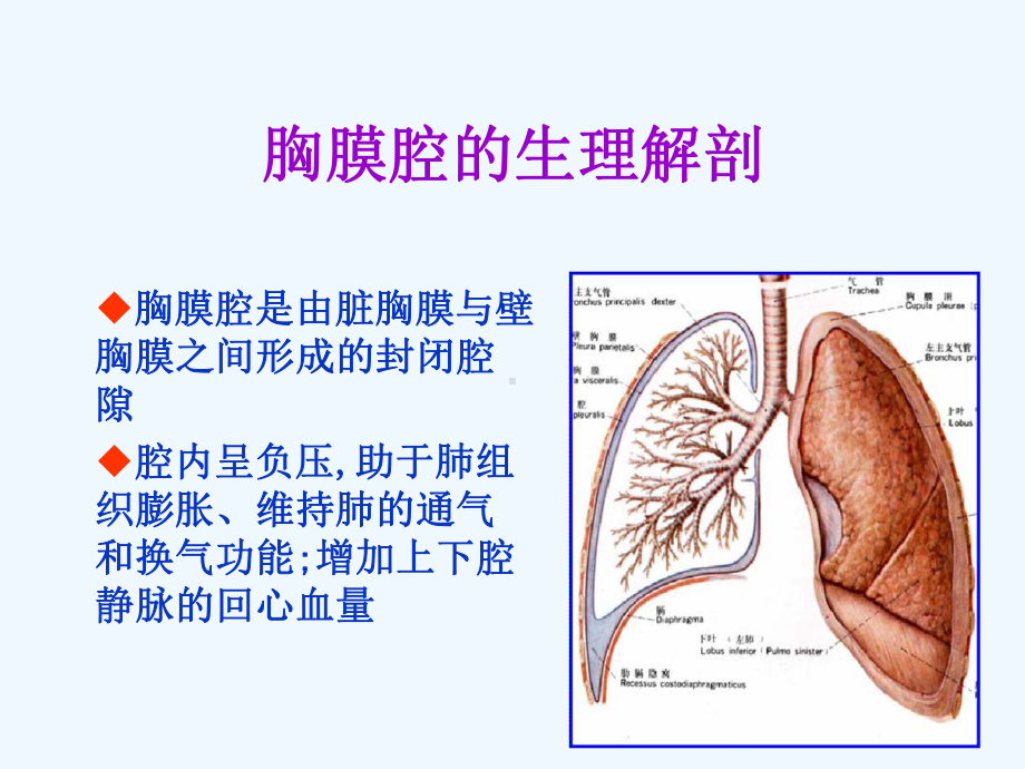 胸腔闭式引流术-课件.ppt_第2页