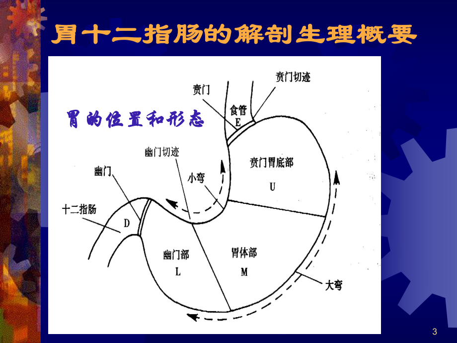 胃十二指肠溃疡的外科治疗课件(同名290).ppt_第3页