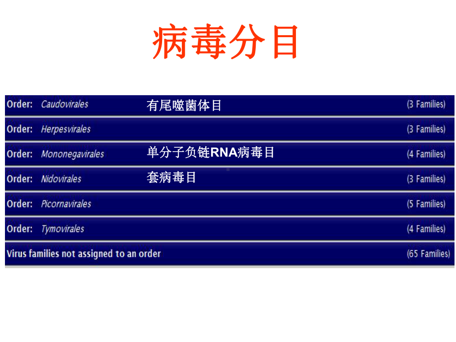 病毒分类-科属种详解（一）课件.ppt_第2页