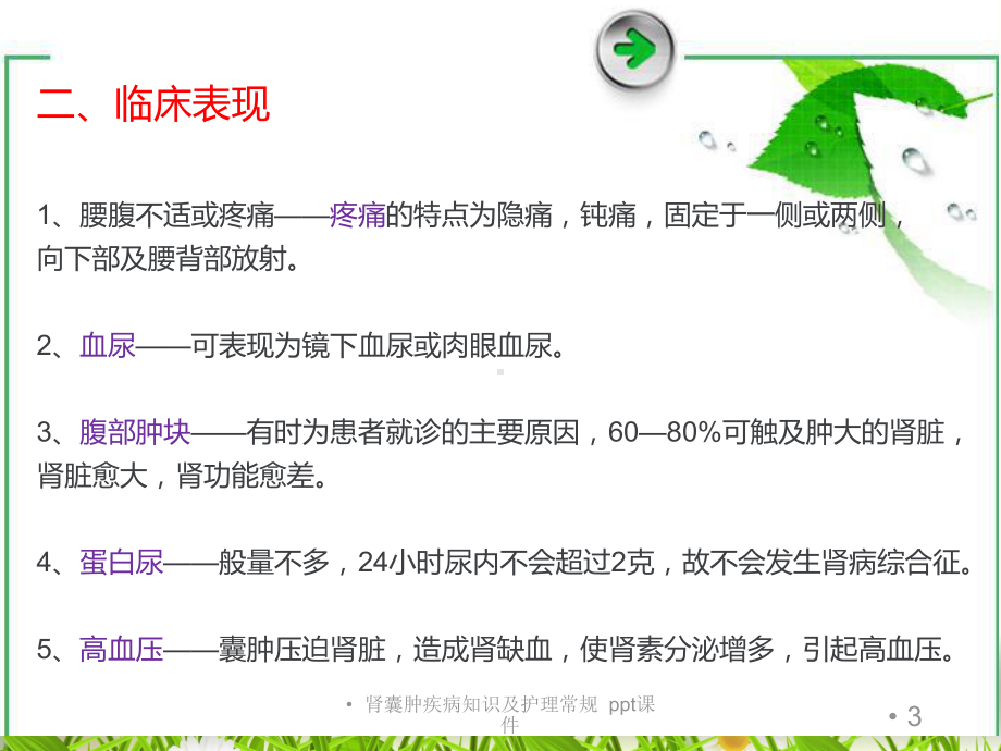 肾囊肿疾病知识及护理常规-课件.pptx_第3页