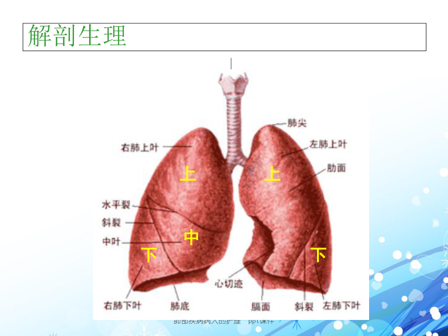 肺部疾病病人的护理-课件.ppt_第3页