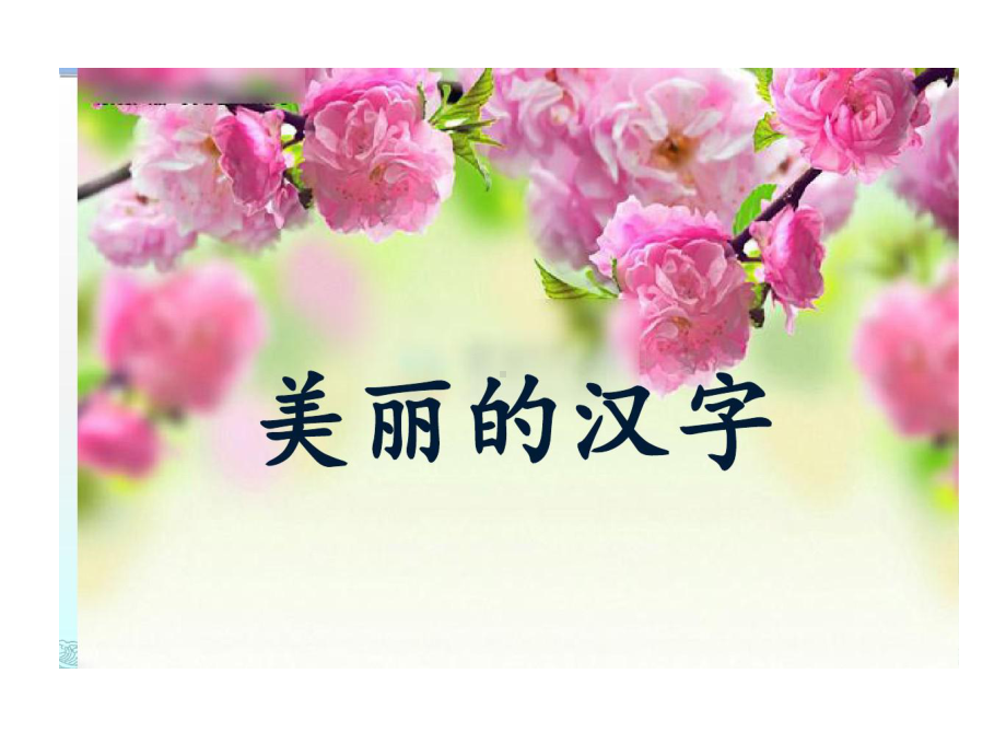 美丽汉字留学生教学课件.ppt_第2页