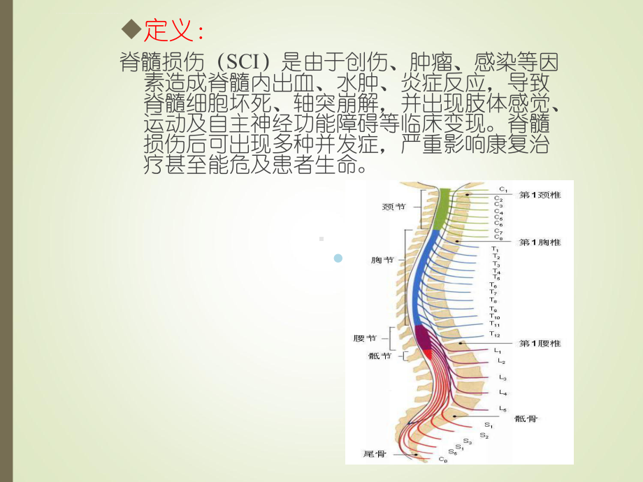 脊髓损伤课件-整理.ppt_第2页