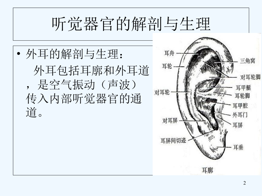 第三章-听觉障碍-课件.ppt_第2页