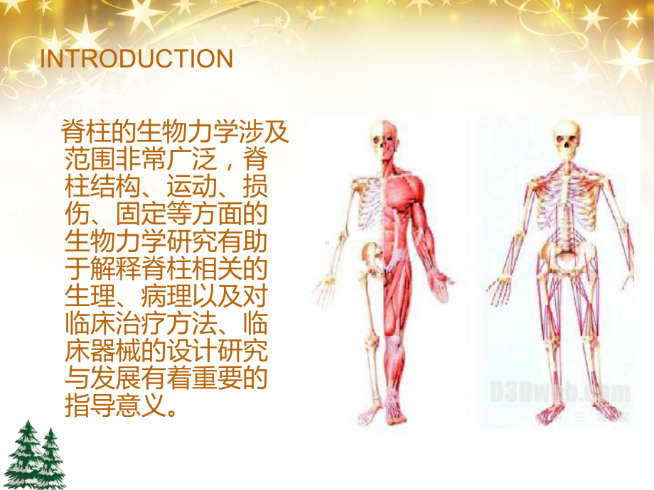 脊柱的生物力学（骨科）-课件.ppt_第2页