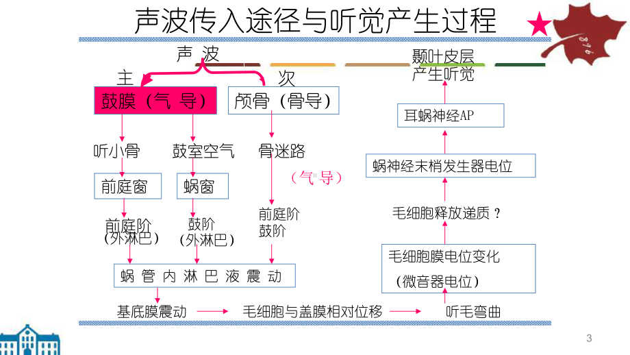 耳音叉试验课件.ppt_第3页