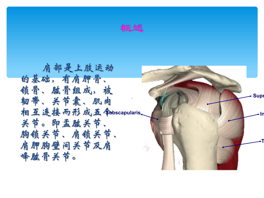 肩关节镜术后护理课件.ppt_第2页