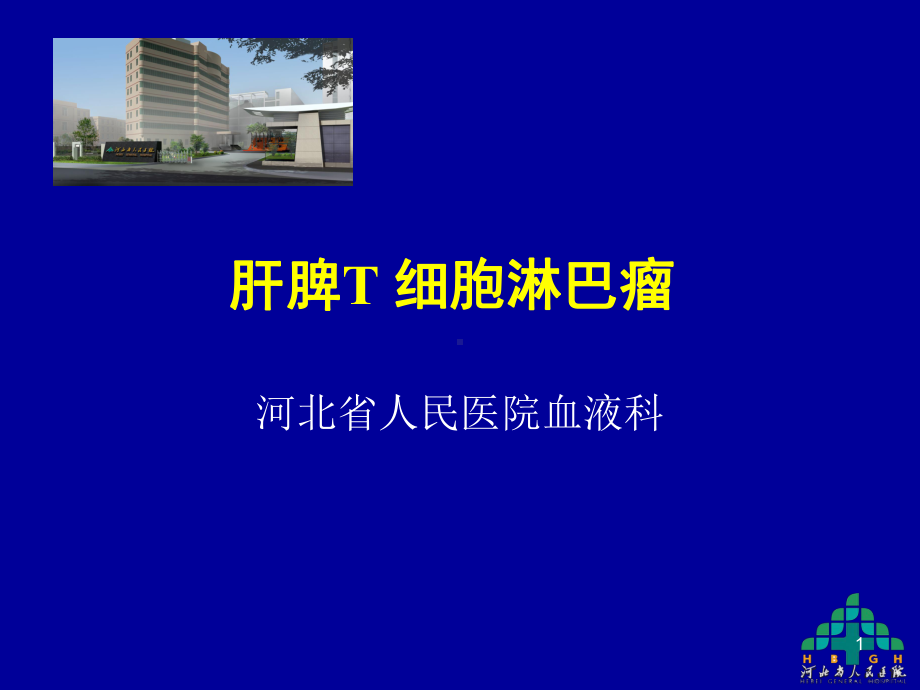 肝脾T细胞淋巴瘤课件.ppt_第1页