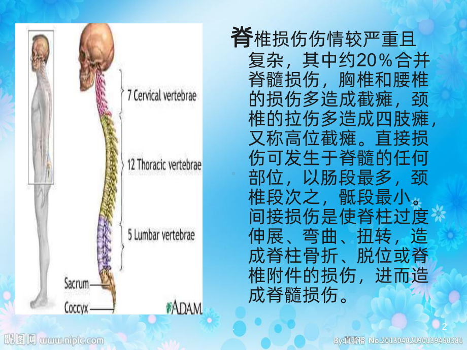 脊柱损伤护理课件.ppt_第2页