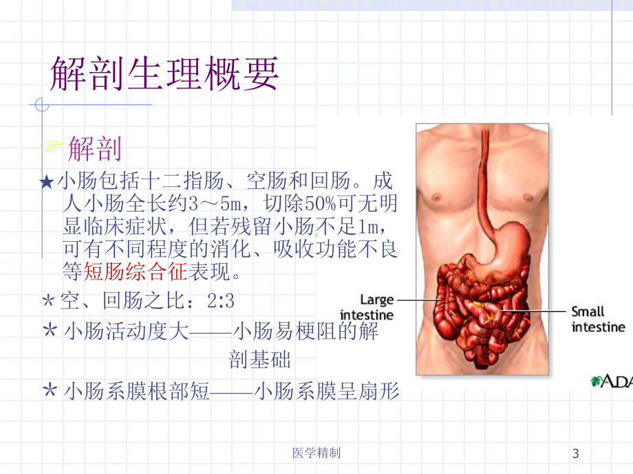 肠梗阻分型及常见病因[内容充实]课件.ppt_第3页