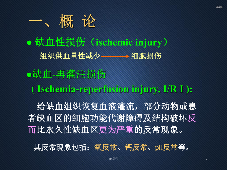 病理生理学-缺血再灌注损伤-课件.ppt_第3页