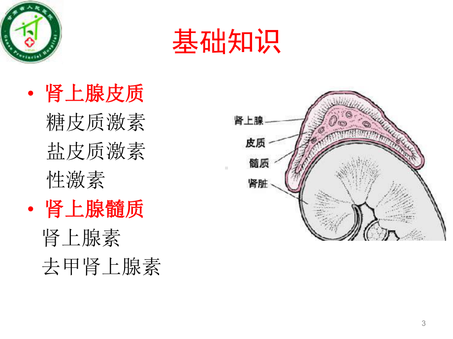 肾上腺疾病课件-参考.ppt_第3页