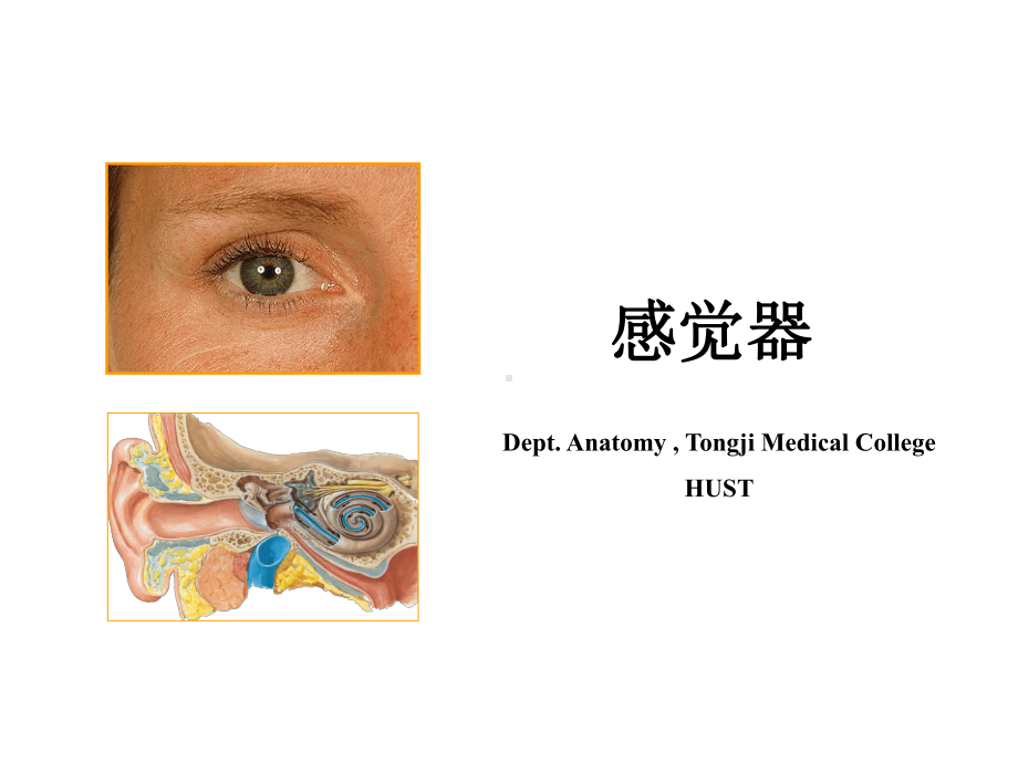 第十二次课-视器课件.ppt_第1页