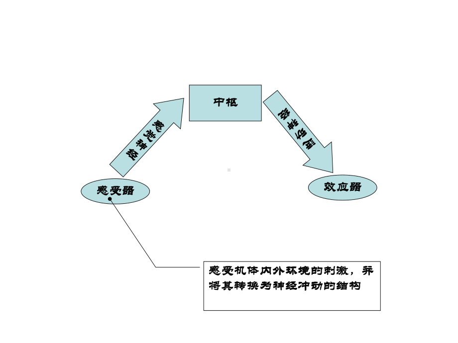 第十二次课-视器课件.ppt_第2页