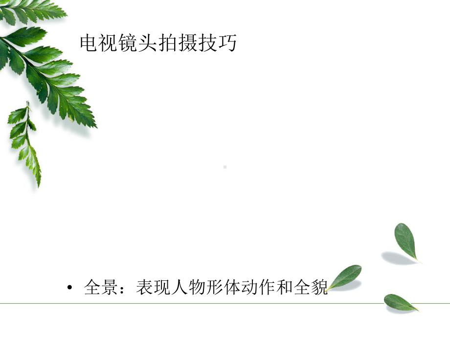 电视镜头拍摄技巧课件.ppt_第3页