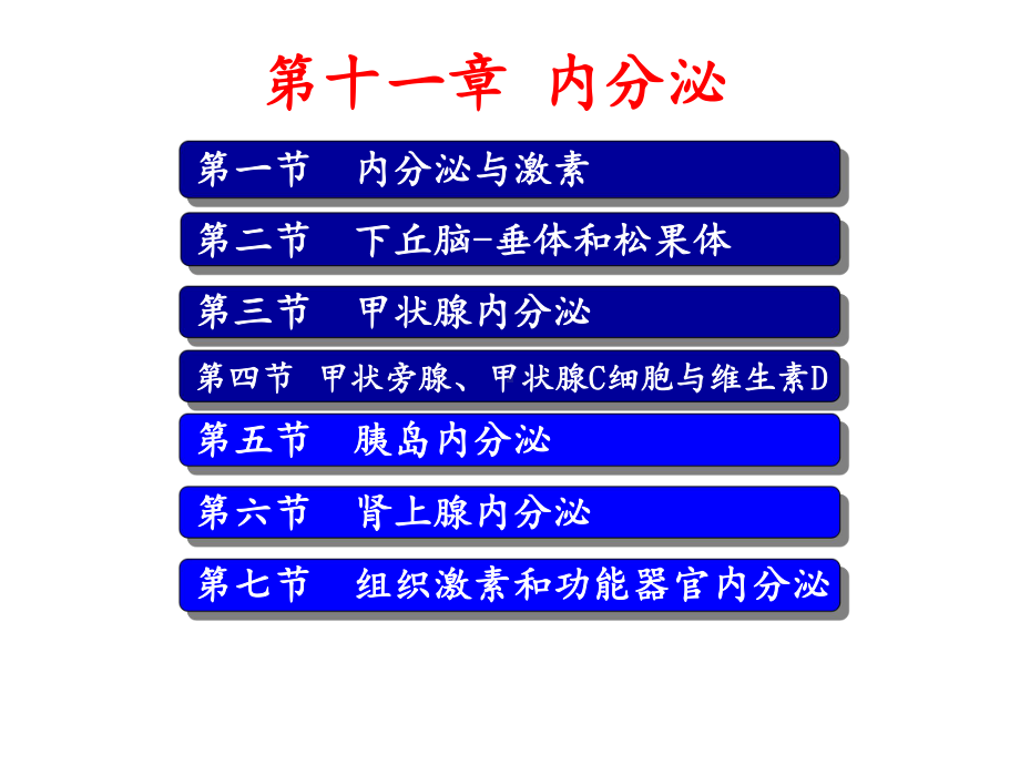 生理学内分泌-课件.ppt_第2页