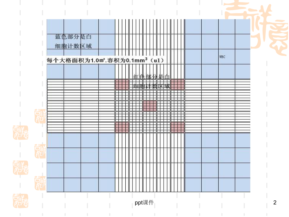 白细胞计数-课件.ppt_第2页