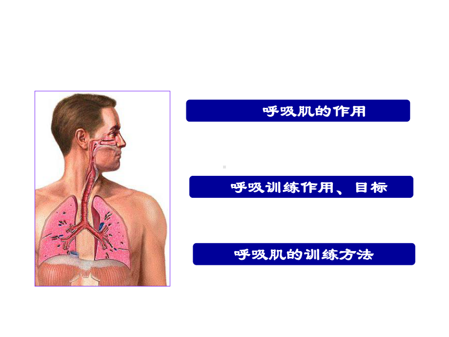 肺功能的康复训练-课件.ppt_第2页