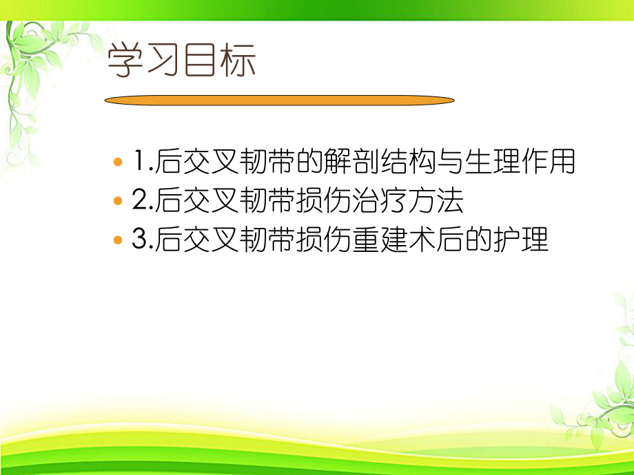 膝关节后叉韧带损伤的教学查房-课件.ppt_第2页