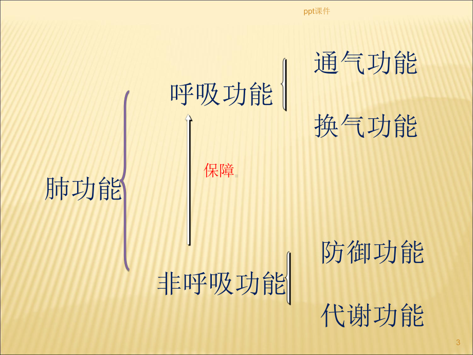 肺功能检查操作及基础知识-课件.ppt_第3页