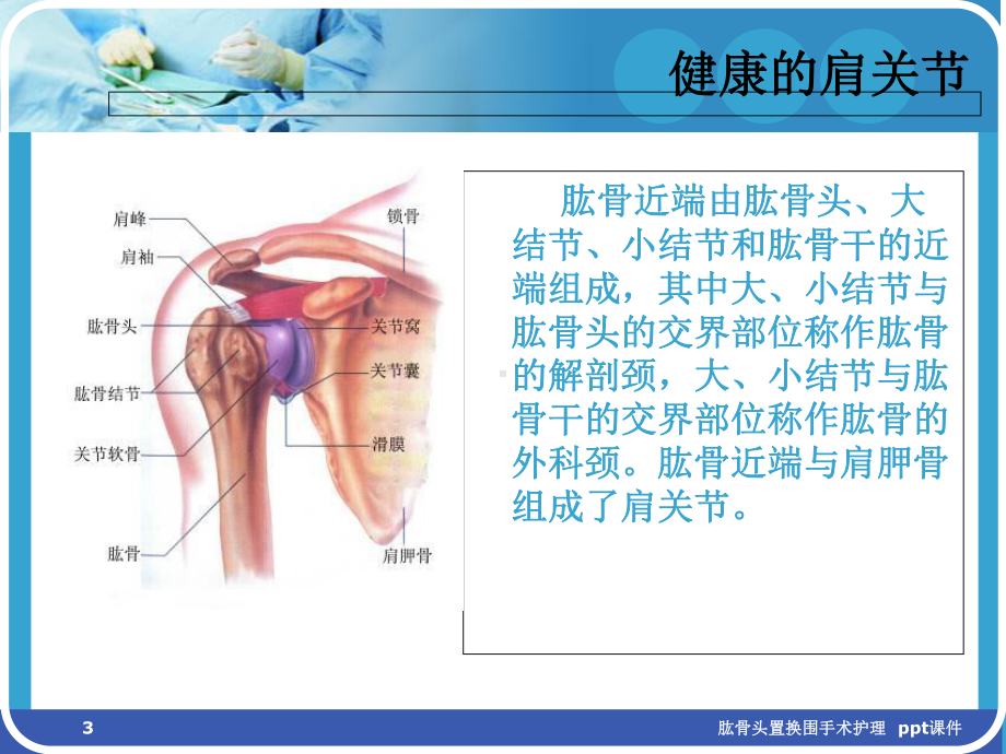 肱骨头置换围手术护理-课件.ppt_第3页