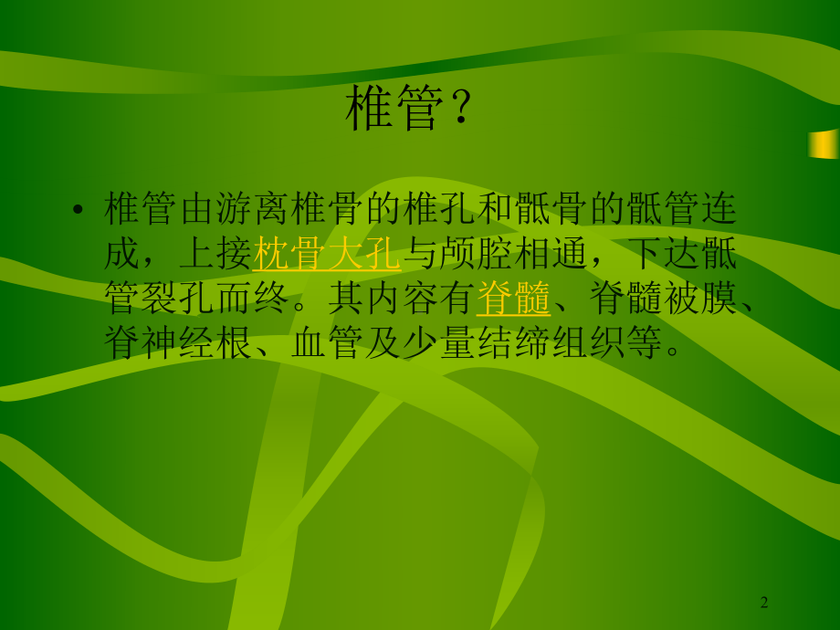 腰椎管狭窄症分析课件.ppt_第2页