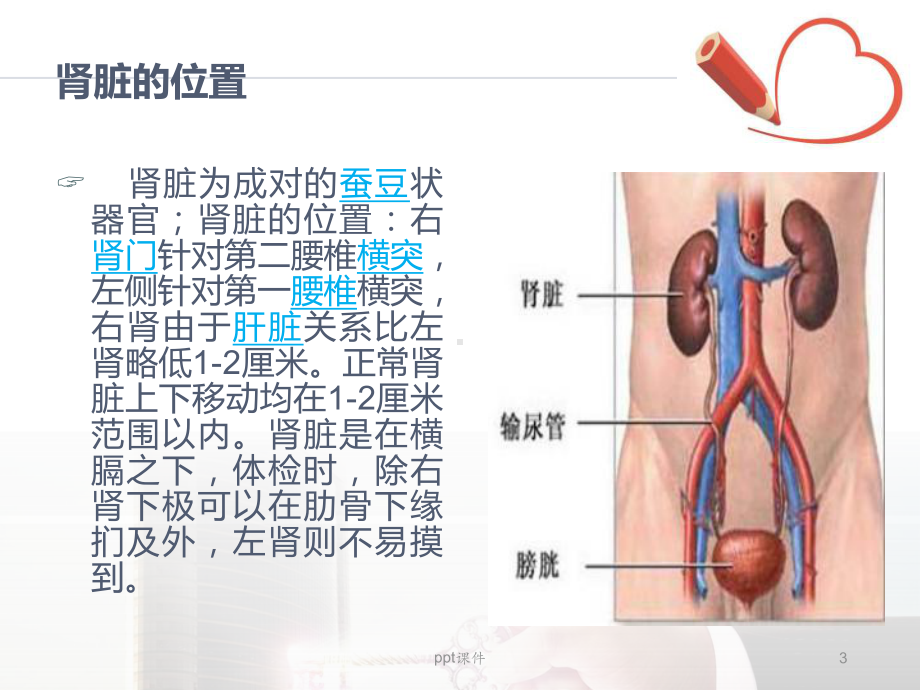 腹腔镜下肾切除术的手术配合-课件.ppt_第3页