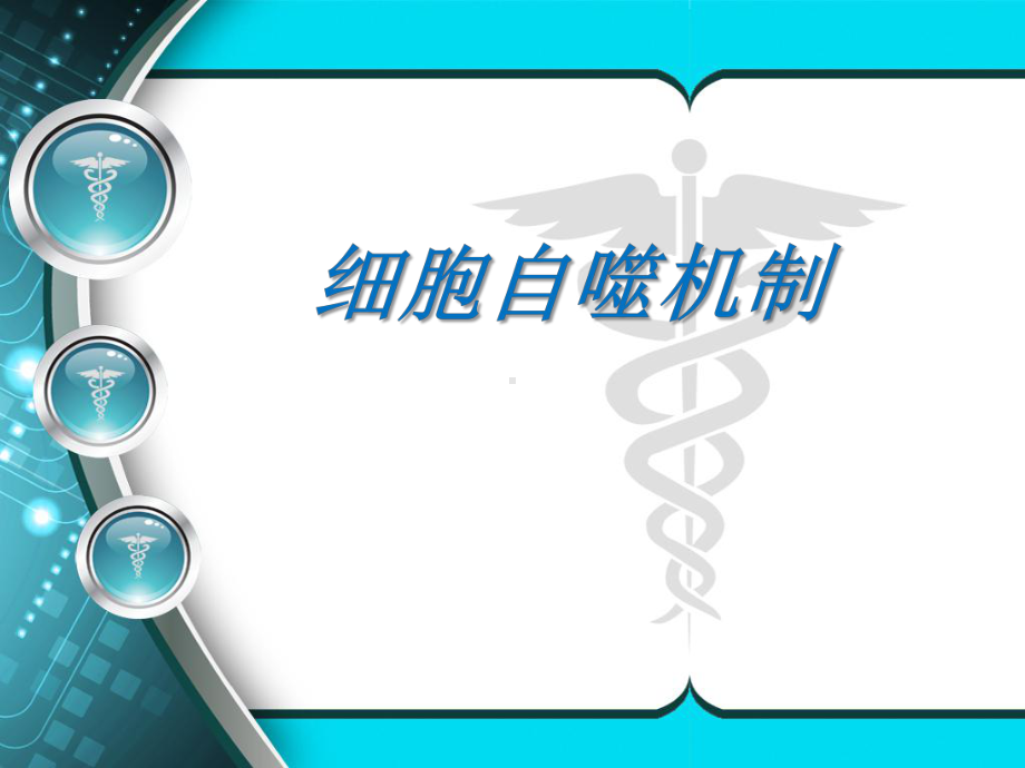 细胞自噬机制-课件.ppt_第1页