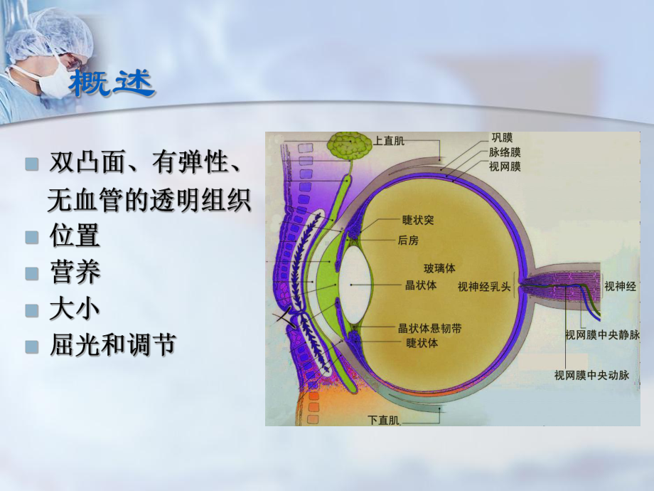 眼科学课件-晶状体病.ppt_第3页