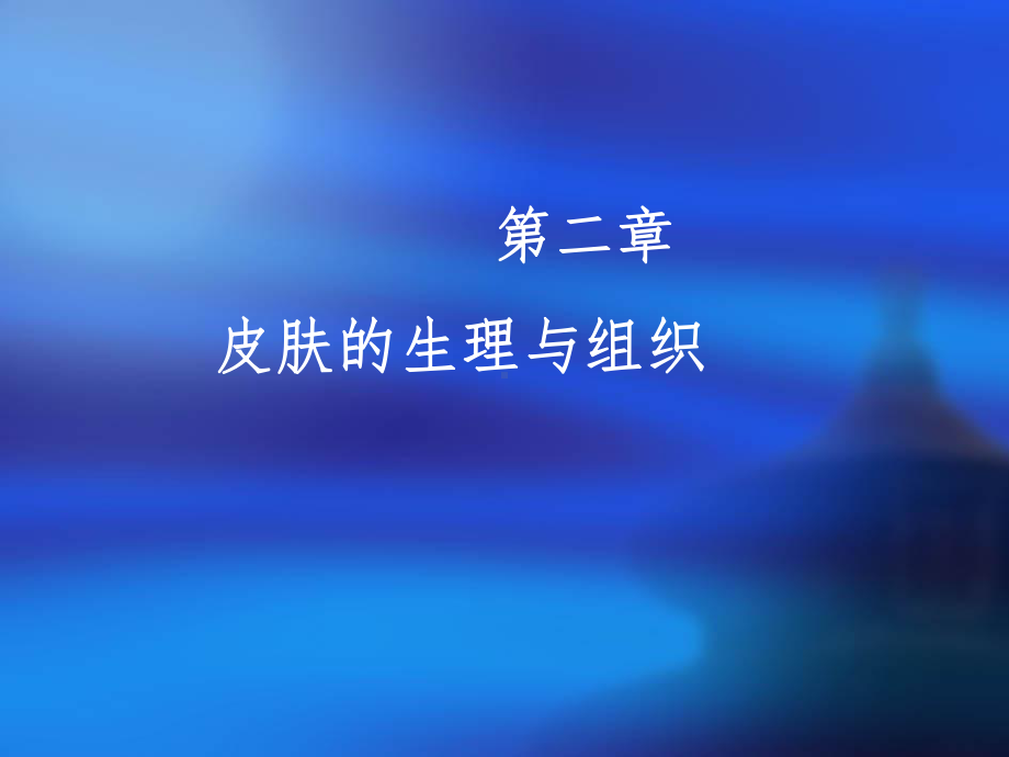 皮肤生理结构课件.ppt_第1页