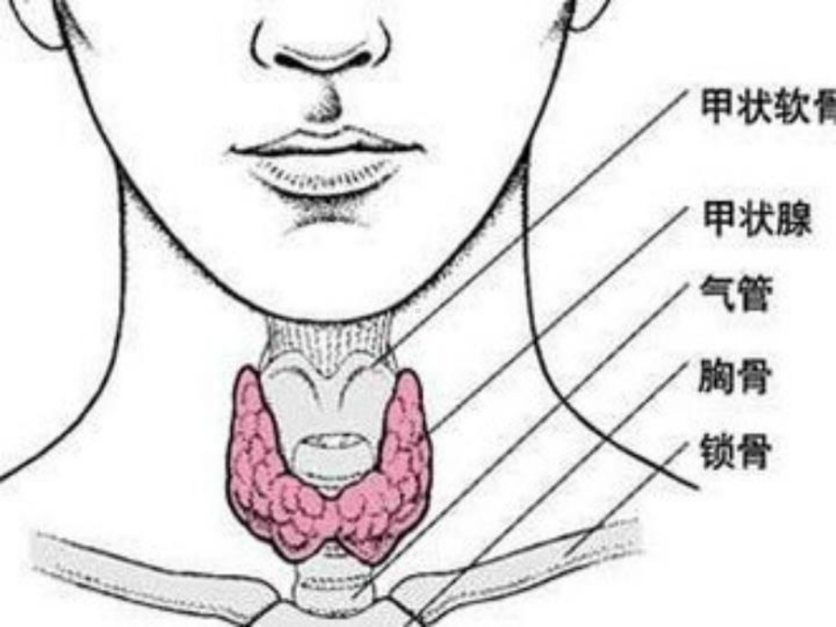 甲状腺功能亢进症-课件6.ppt_第2页