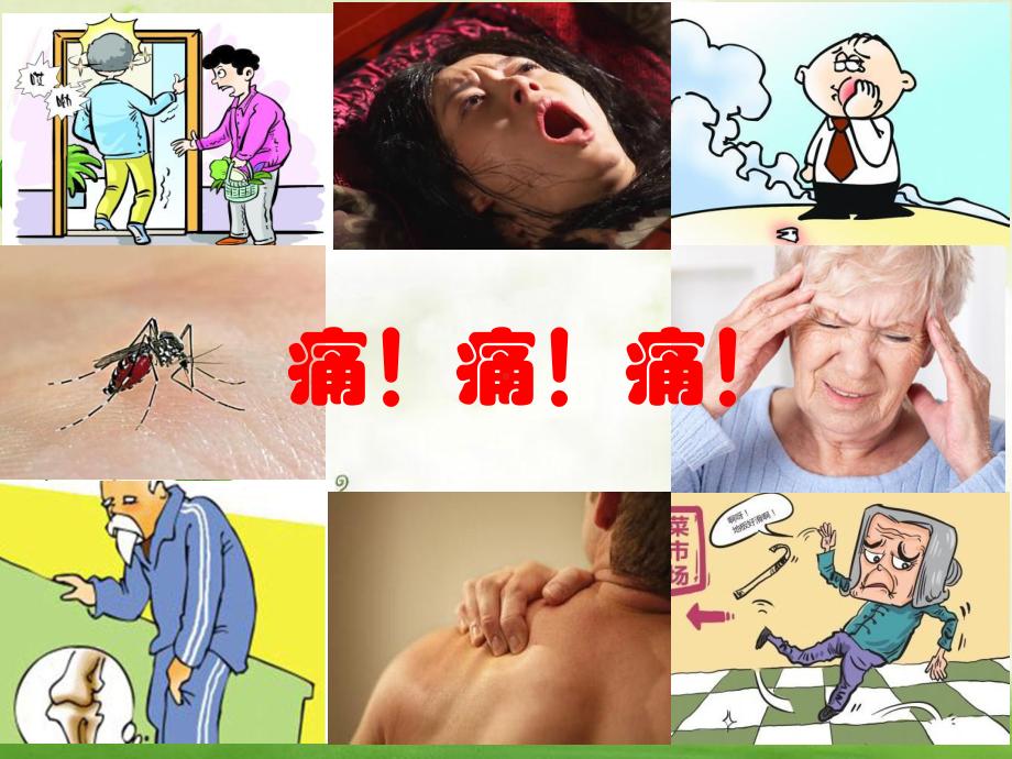 疼痛评估课件-参考.ppt_第2页