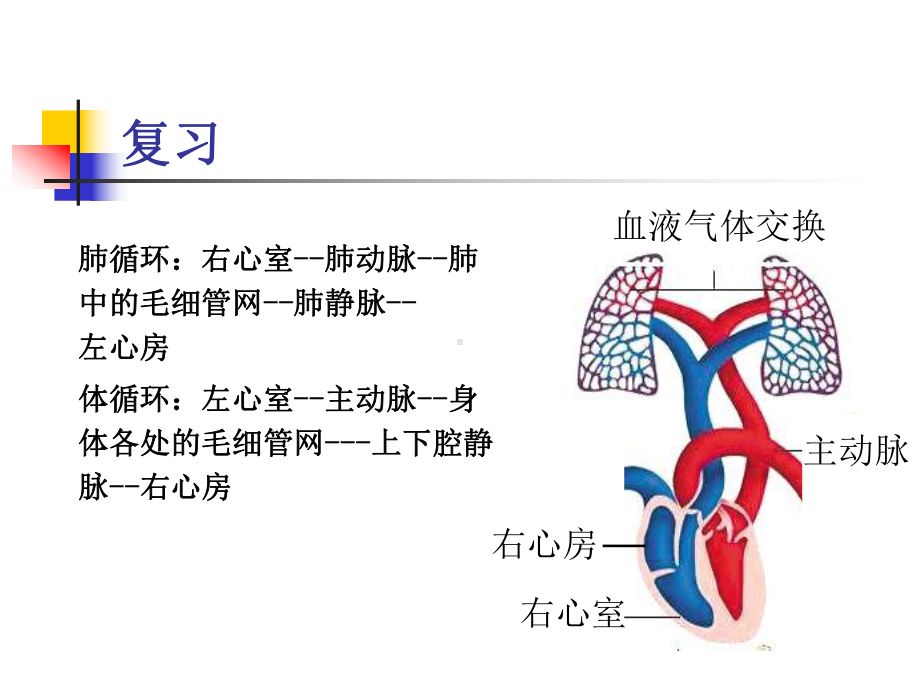 肺心病(王)课件.ppt_第3页