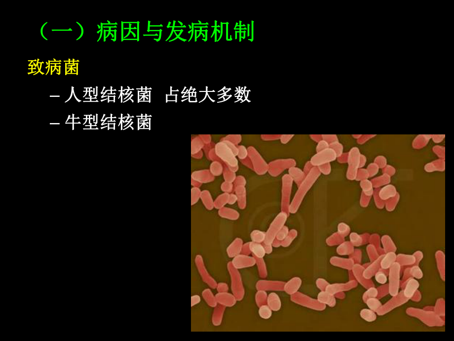 肠结核及结核性腹膜炎病人的护理-课件.ppt_第3页