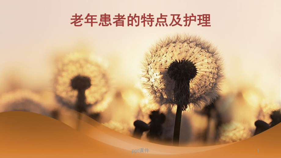 老年患者的特点及护理-课件.ppt_第1页