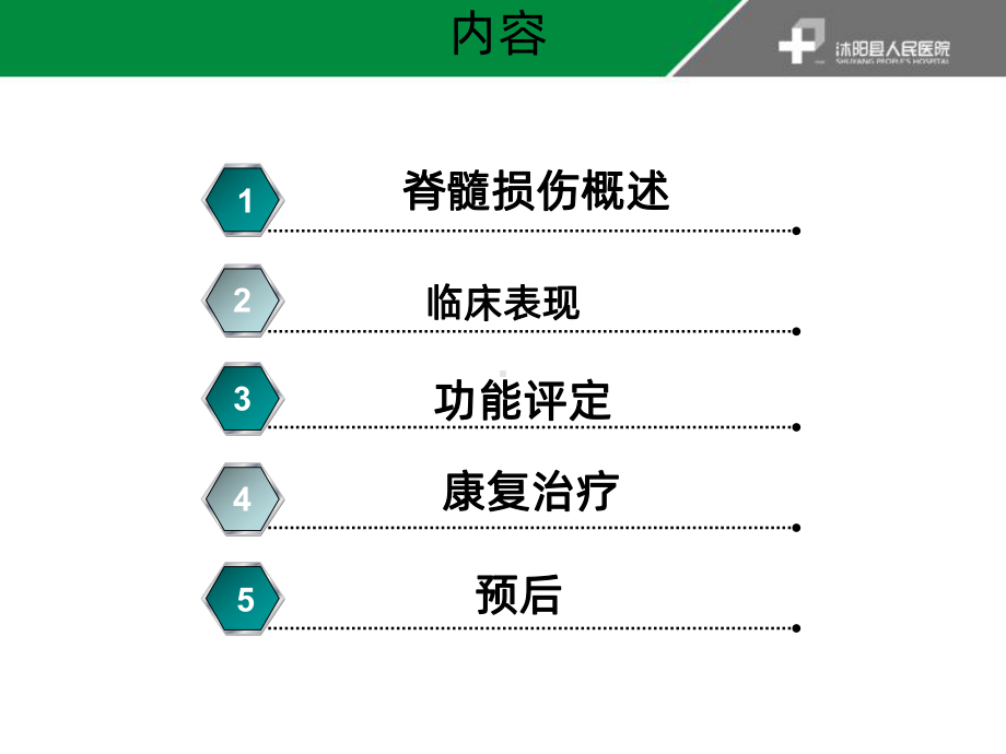 脊髓损伤临床康复治疗课件.ppt_第2页