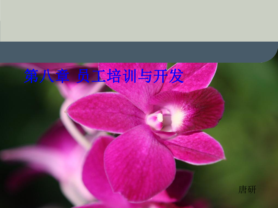 第八章员工培训与课件.ppt_第1页