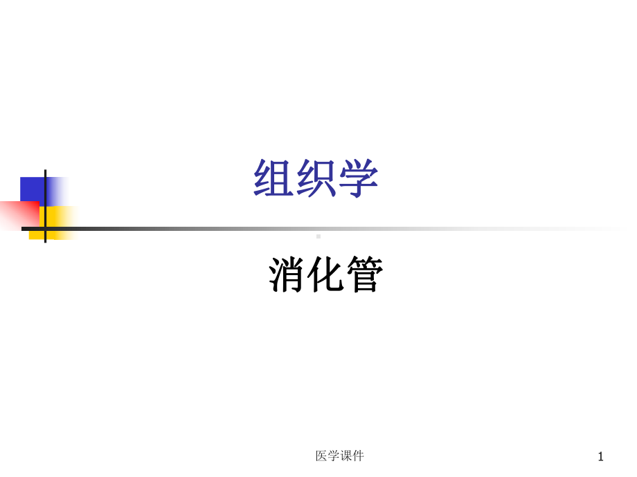 组织胚胎学-第14章消化管-课件.ppt_第1页