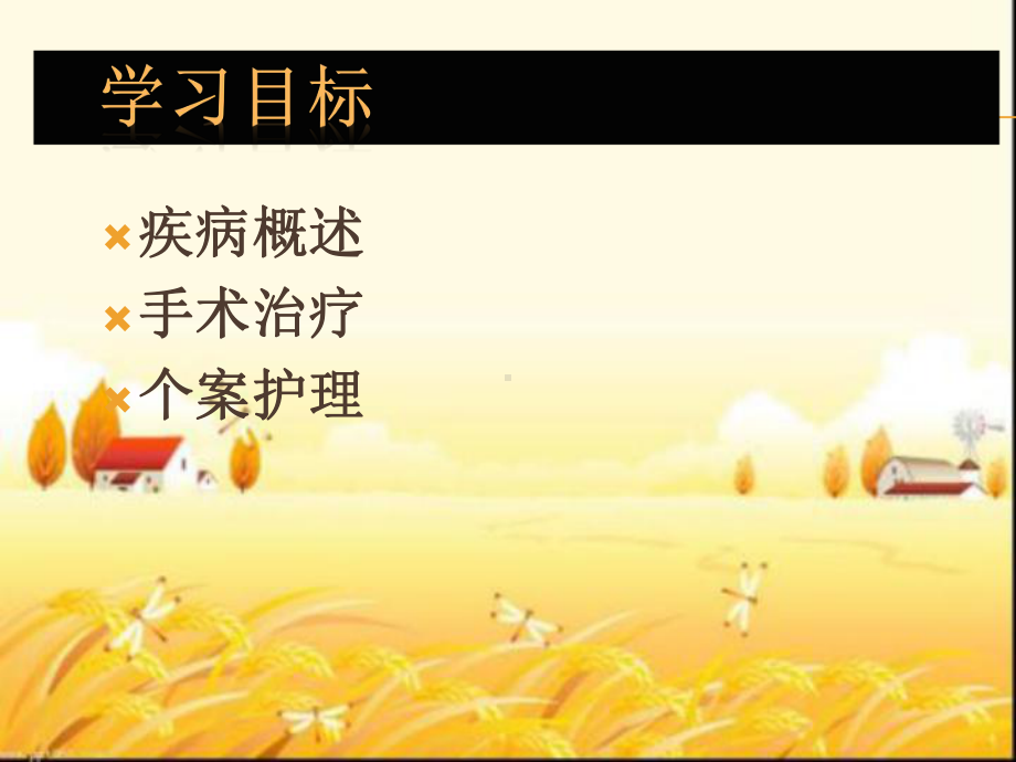 胰腺癌的护理查房-课件.ppt_第2页