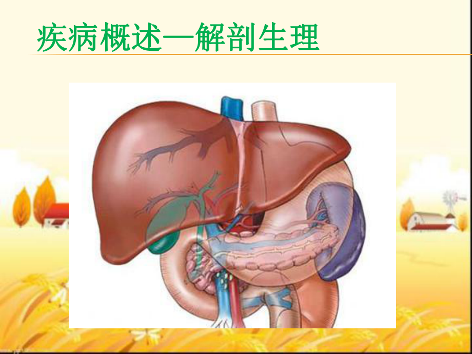 胰腺癌的护理查房-课件.ppt_第3页